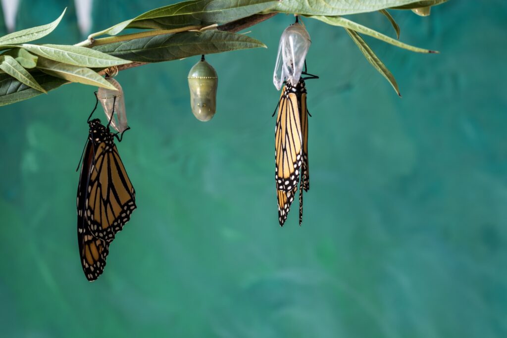 Marketing is Transforming. Are You?