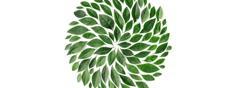 Deloitte Trust Index – Banking: The way forward to rebuild reputation and trust